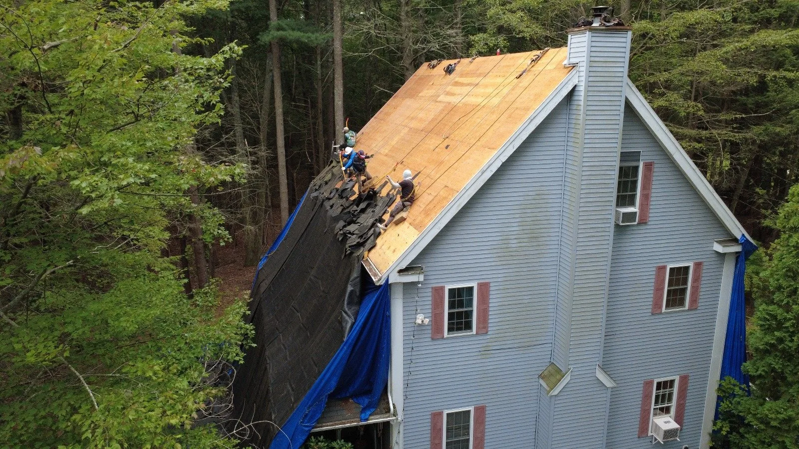 A Small Dog Roofing crew stripping an old roof down to bare decking on a New England colonial, with tarps protecting the siding below