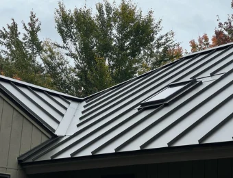 Dark standing seam metal roof with a skylight, on a home backed by trees